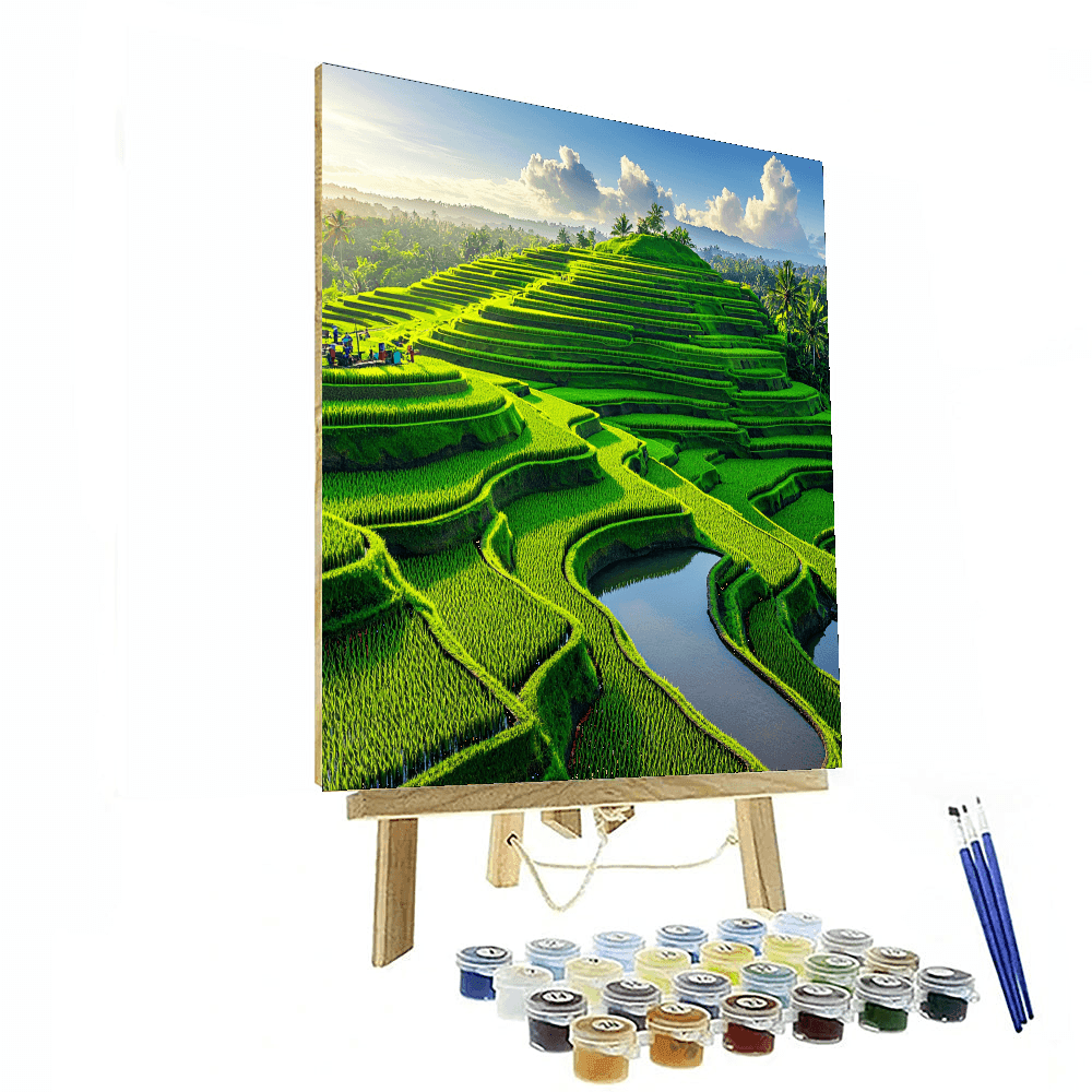 Bali Rice Terraces DIY Paint By Numbers