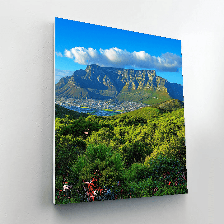 Table Mountain - South Africa DIY Paint By Numbers