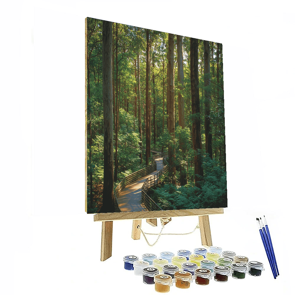 Valley Of The Giants Tree Top Walk - Walpole Paint By Numbers Kits