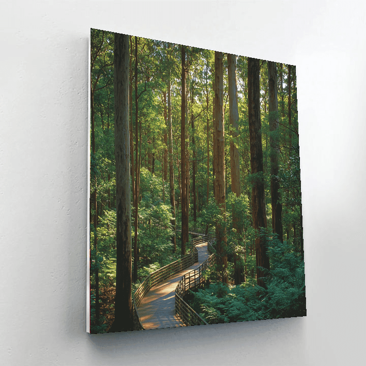 Valley Of The Giants Tree Top Walk - Walpole Paint By Numbers Kits