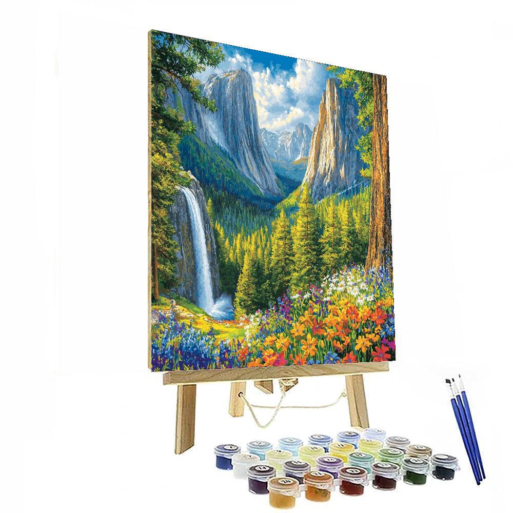 Yosemite National Park - Usa Numbered Painting Kits