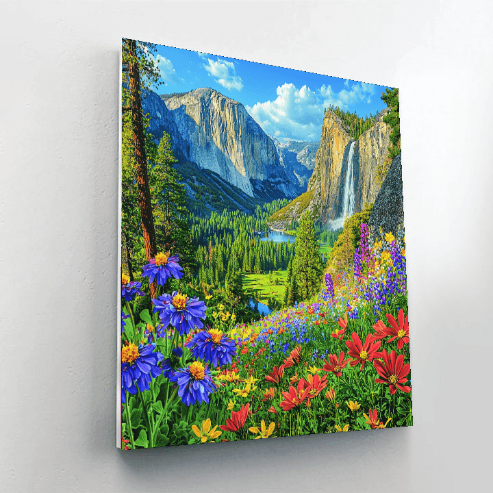 Yosemite Valley Paint By Numbers Kits
