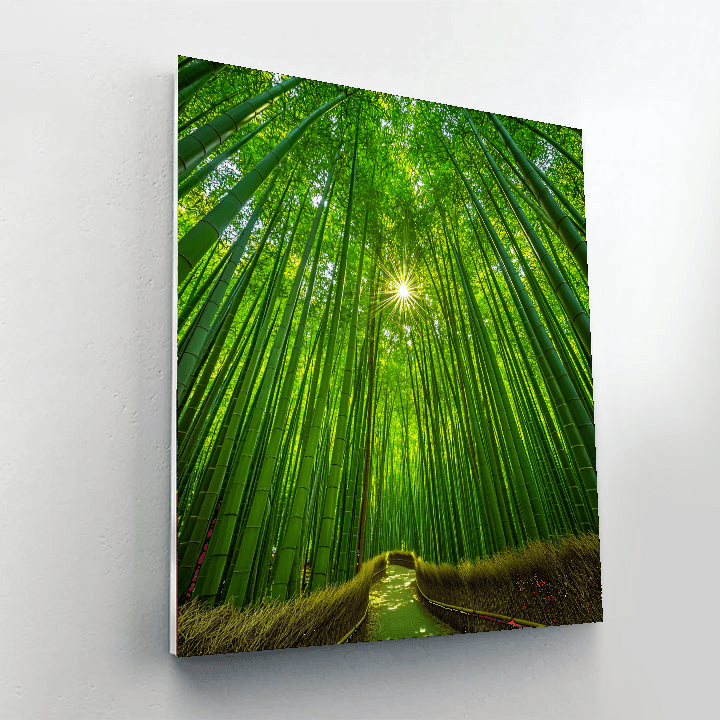 Bamboo Forest Of Arashiyama Numbered Painting Kits