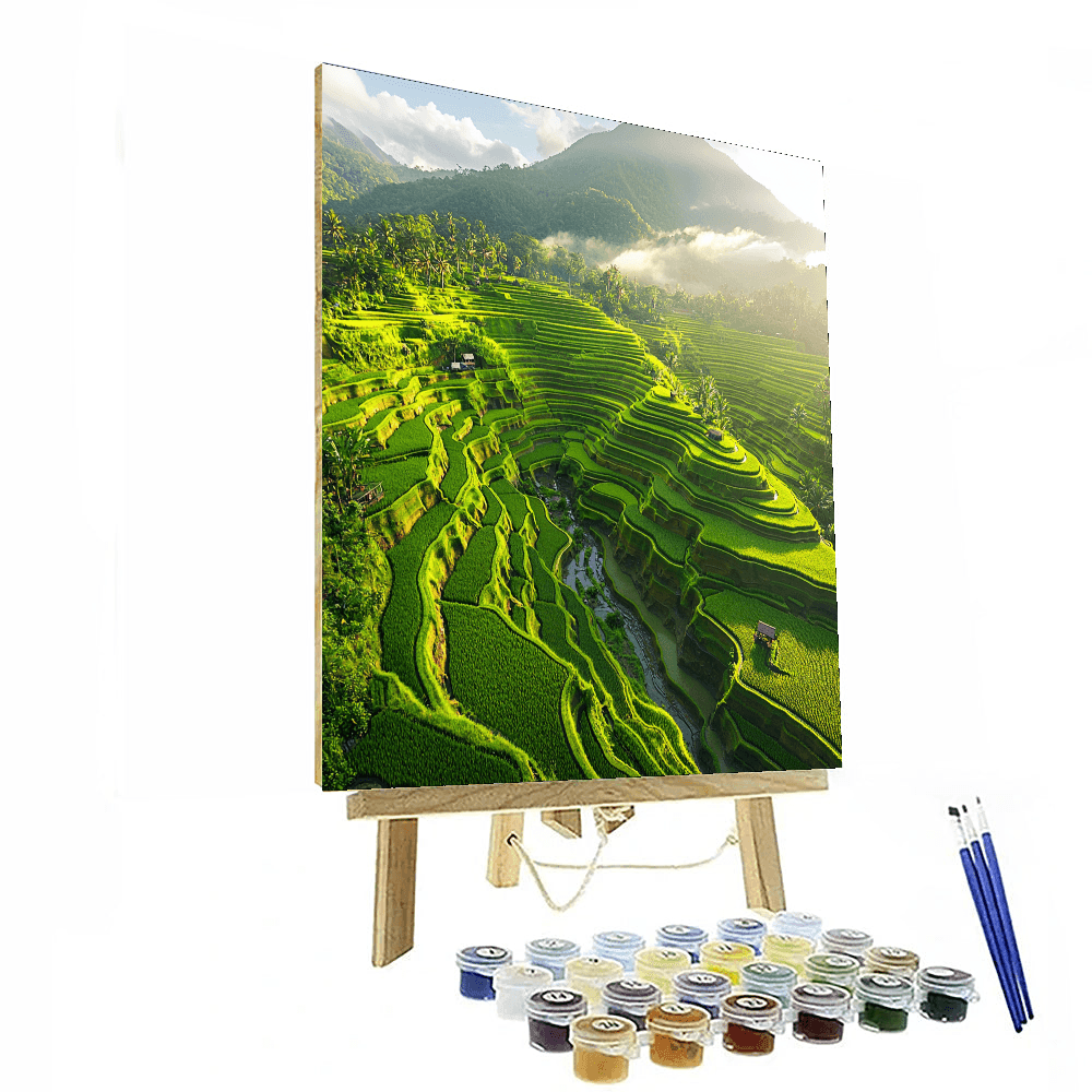Banaue Rice Terraces Paint By Numbers