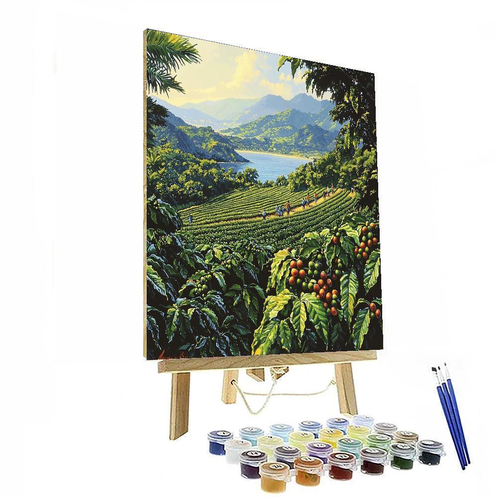 Kona Coffee Farm - Hawaii Paint By Number