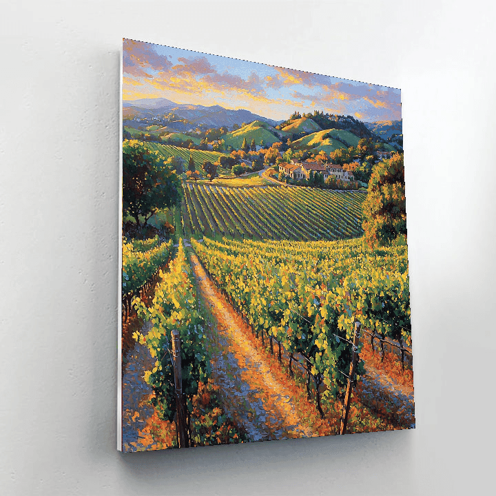 Napa Valley Vineyards - Usa Numbered Painting Kits