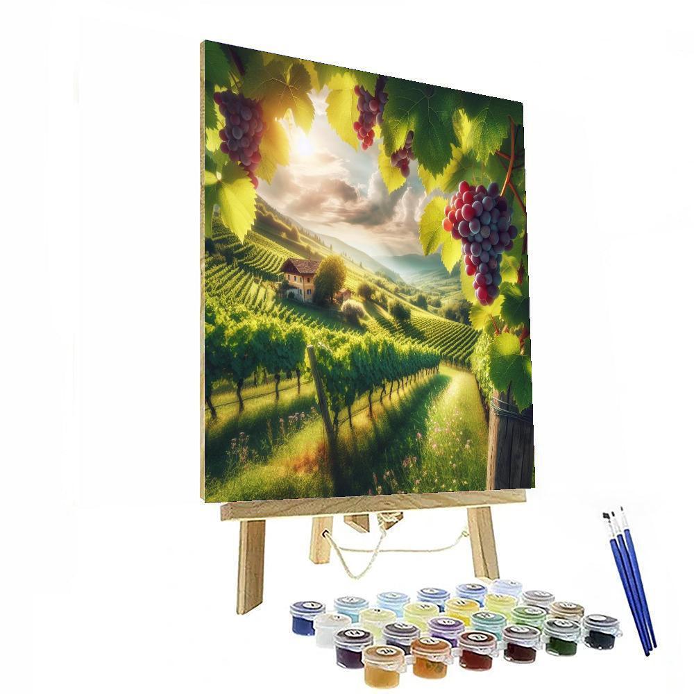 Serene Vineyard Retreat Paint By Numbers