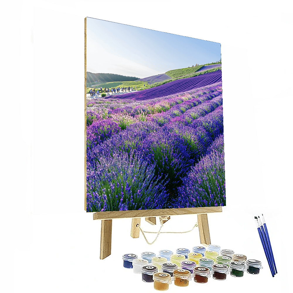 Hokkaido’s Furano Flower Fields DIY Paint By Numbers