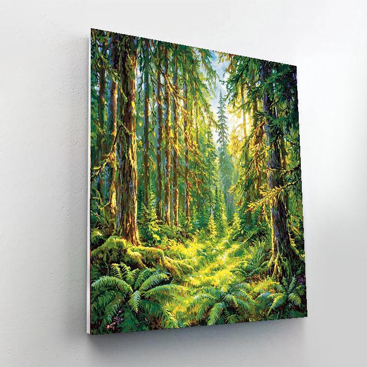 Hoh Rainforest - United States Numbered Painting Kits