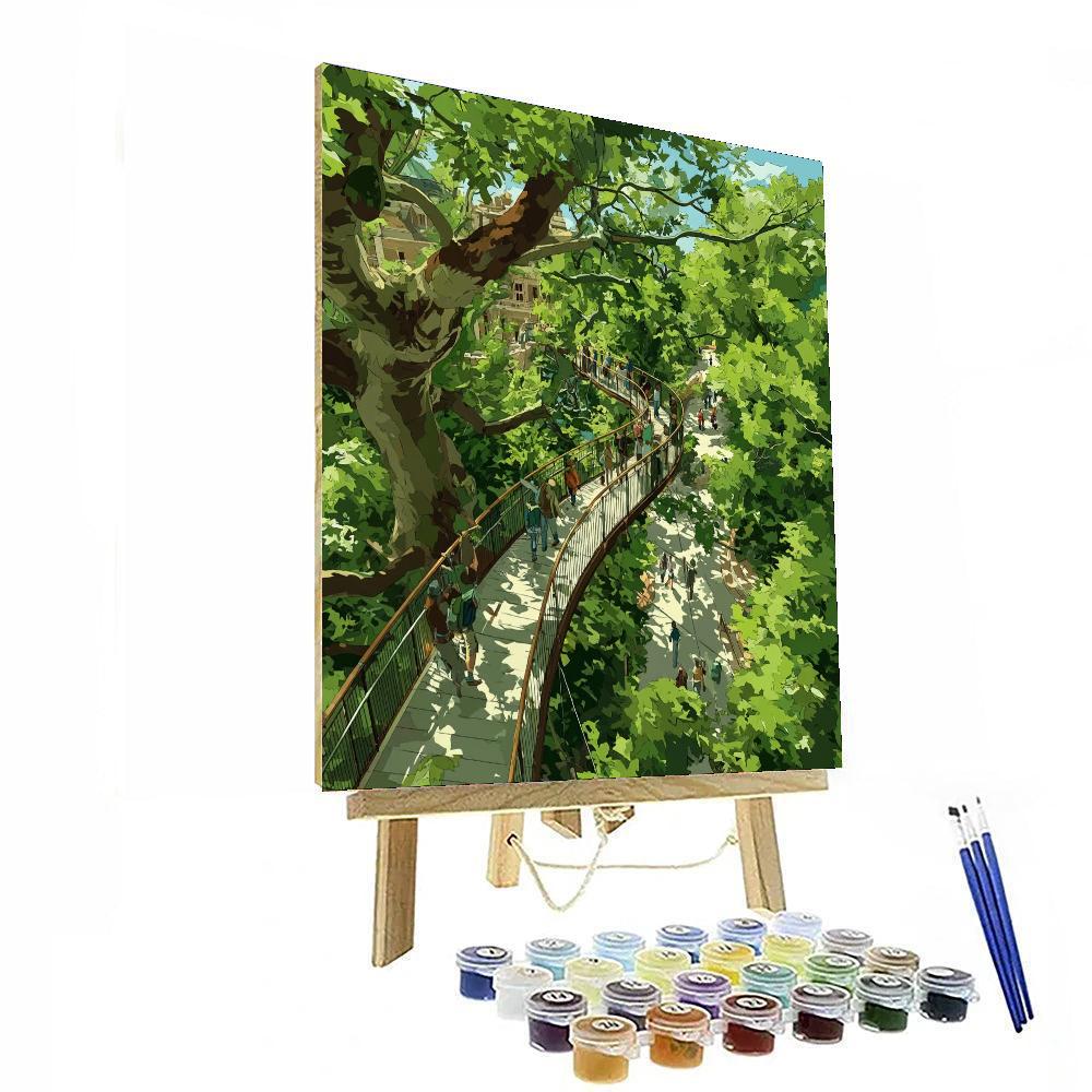 The Treetop Walkway At Kew Gardens DIY Paint By Numbers