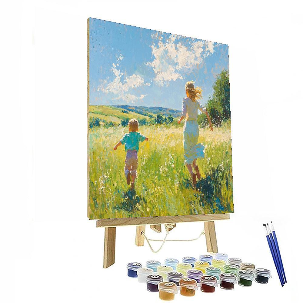 Fields Of Freedom Paint By Numbers Kits
