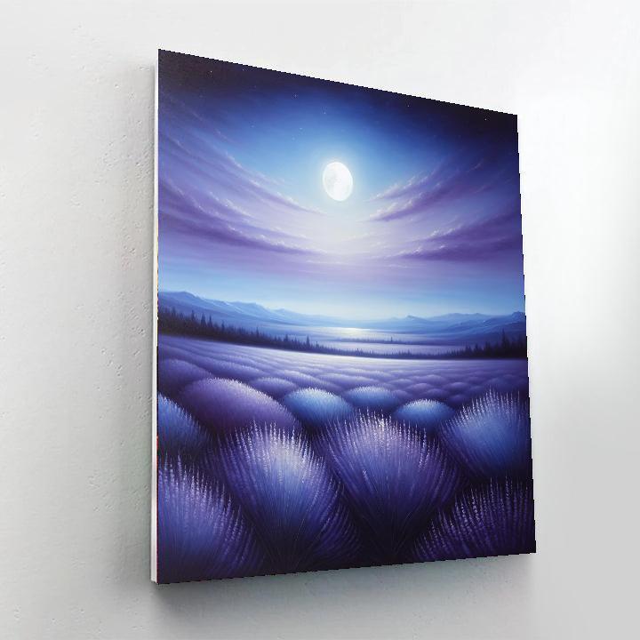 Midnight In Provence Painting By Numbers Kit