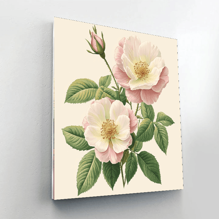 Pierre-Joseph Redouté Inspired Vintage Botanical Study  Paint By Color