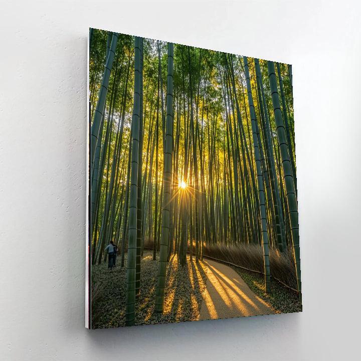 Kyoto Bamboo Grove - Japan Paint By Number