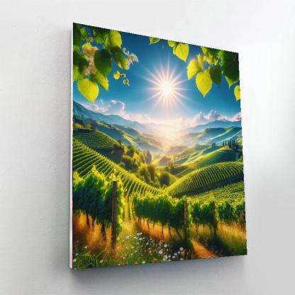 Sundrenched Italian Countryside Paint By Numbers Kits