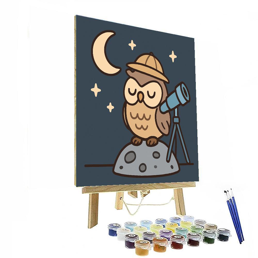 Moonlight Owl Explorer Paint by numbers kits