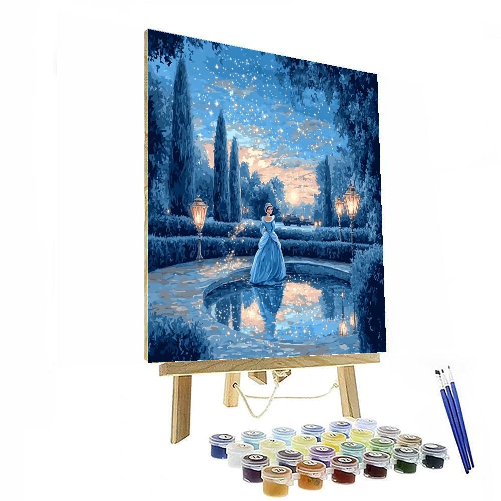 Cinderella Midnight Garden Paint by numbers kits