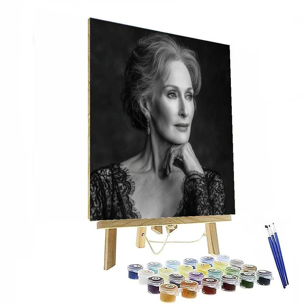 Meryl Streep: The Chameleon In Quiet Light DIY paint by numbers