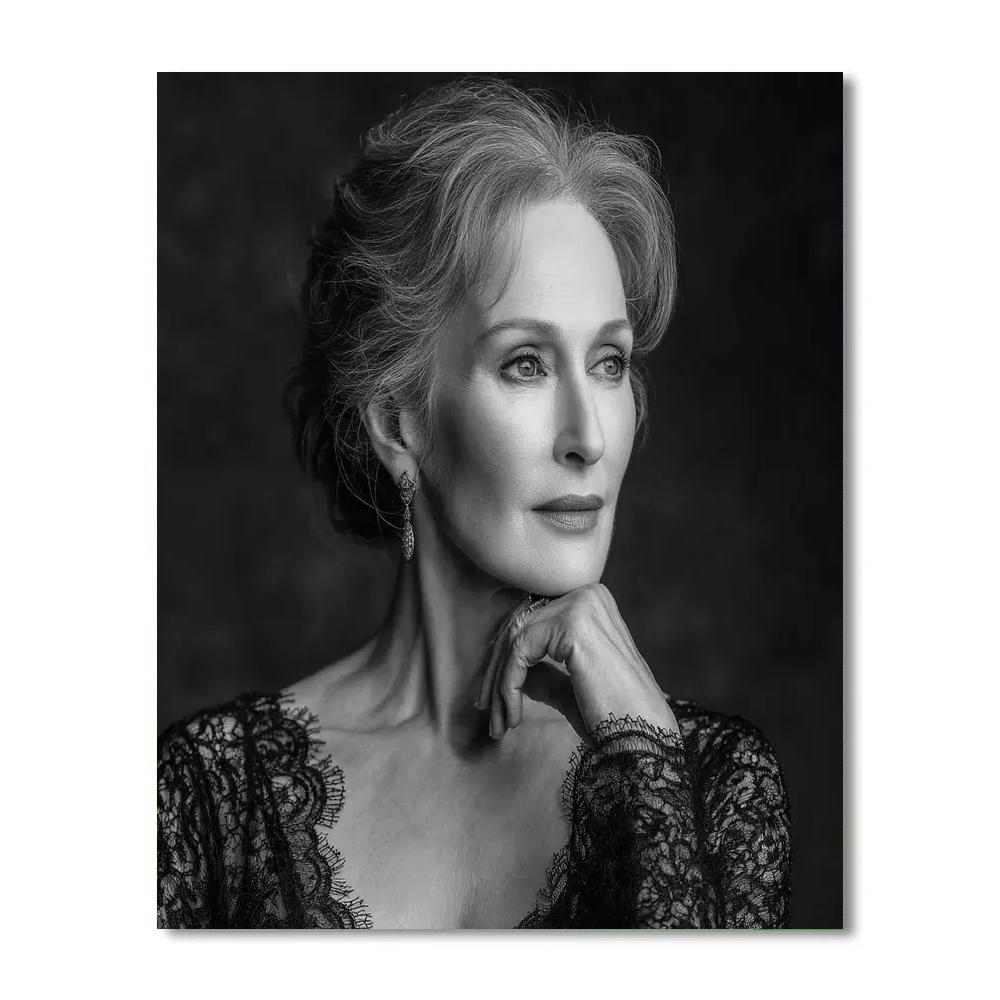 Meryl Streep: The Chameleon In Quiet Light DIY paint by numbers