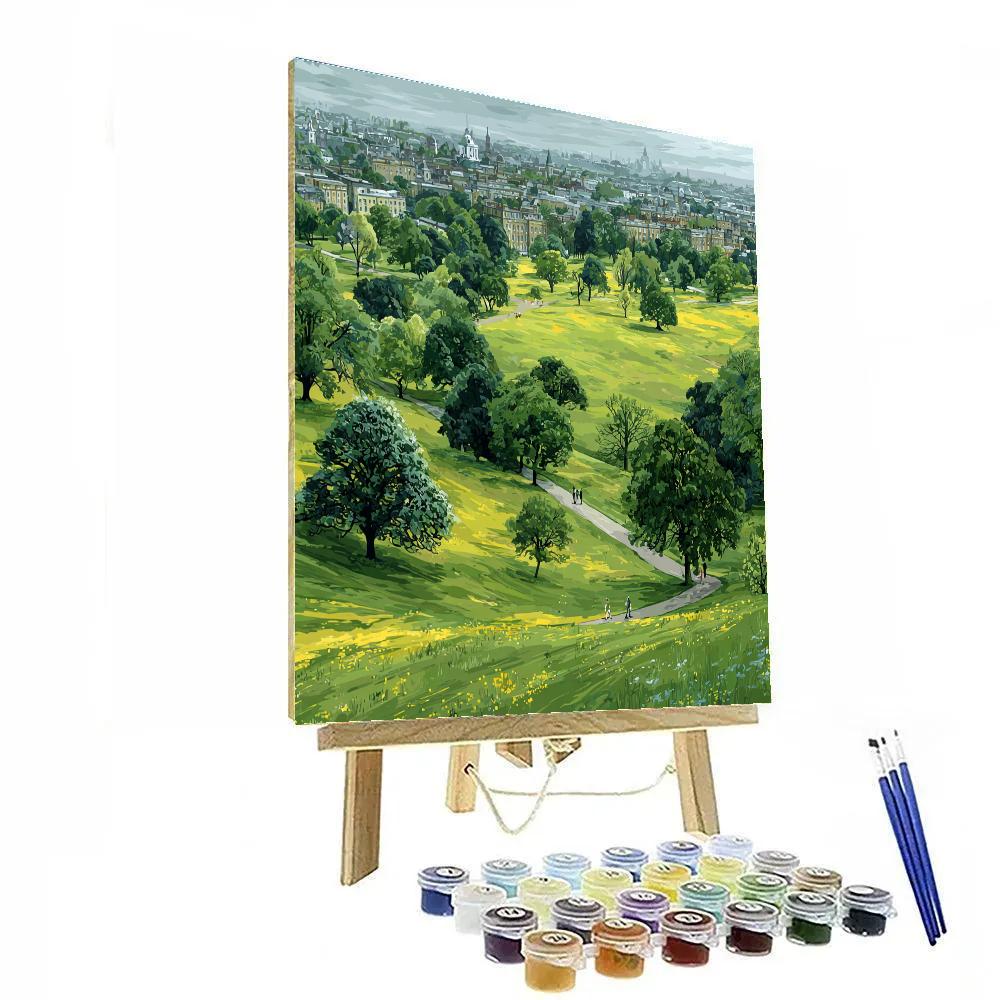 Phoenix Park Urban Meadows Dublin Ireland Paint by numbers art