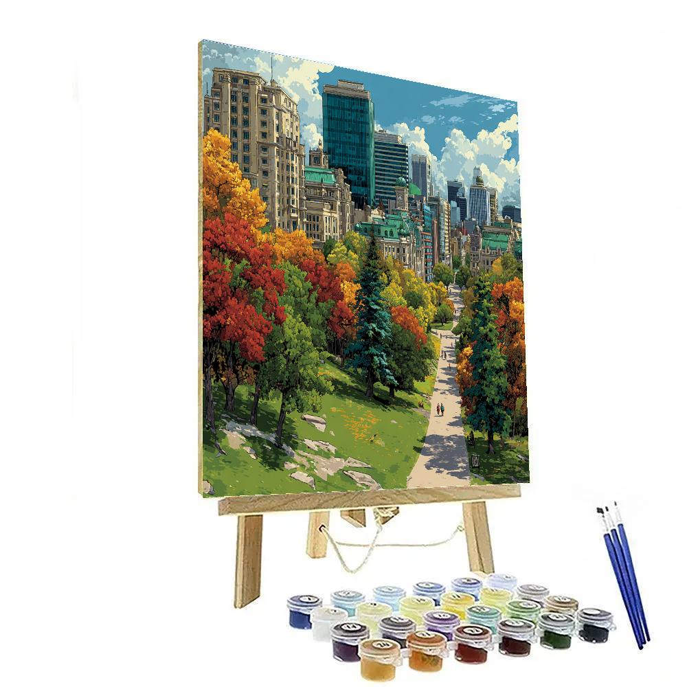 Skyline View From Mount Royal Park Montreal Canada DIY paint by numbers