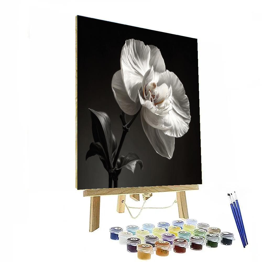 Caravaggio Inspired Rainforest Orchid Shadow paint by color