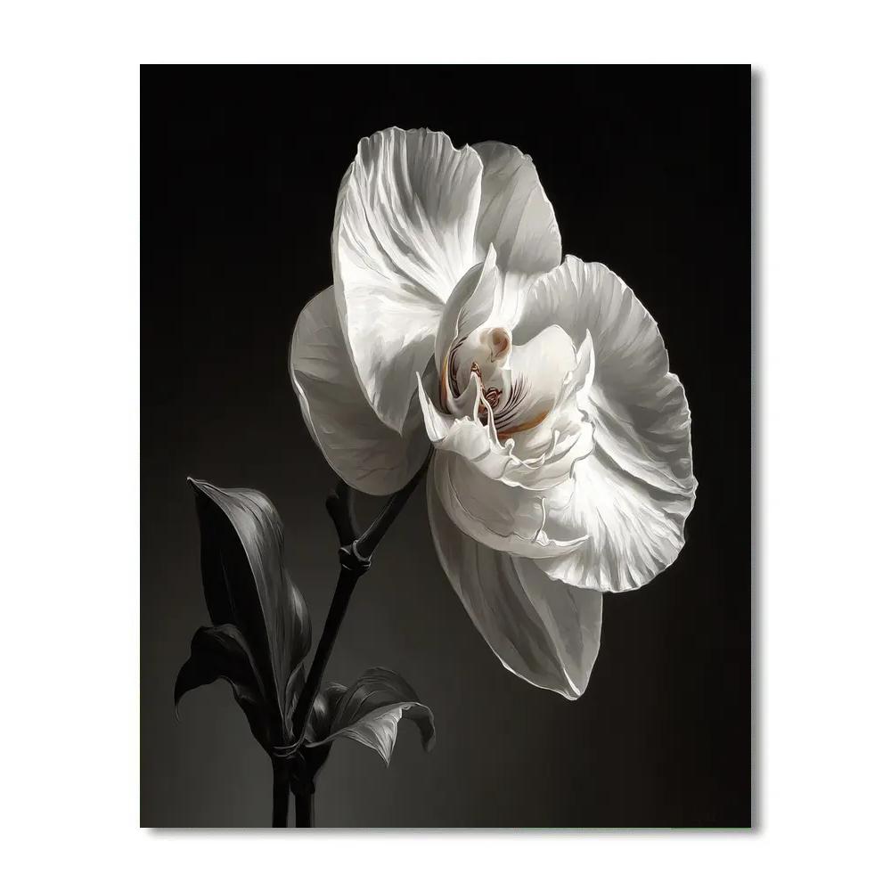 Caravaggio Inspired Rainforest Orchid Shadow paint by color