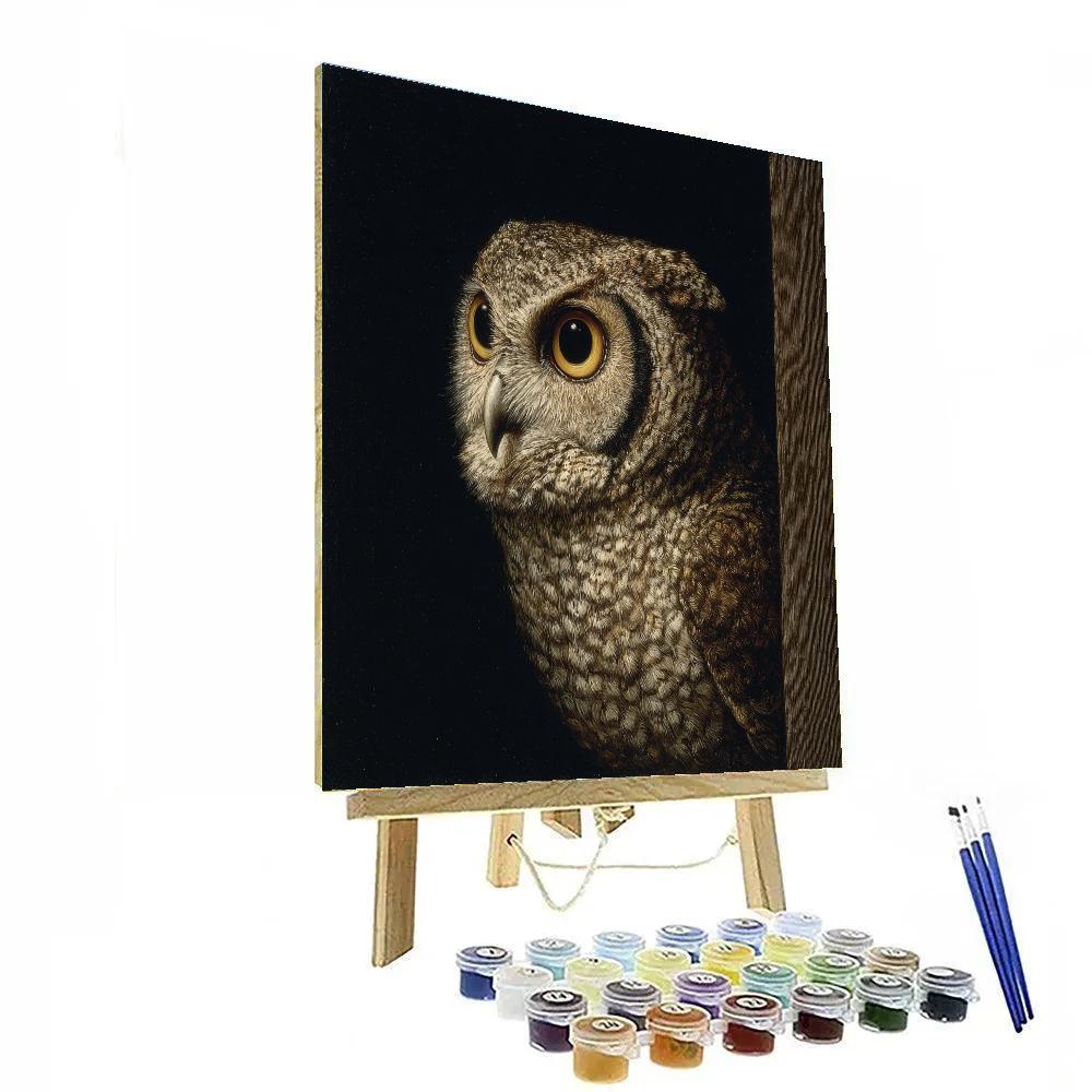 Caravaggio Inspired Nocturnal Owl Silhouette paint by number