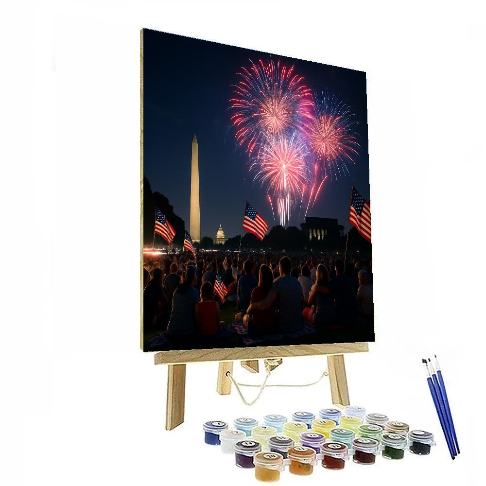 Independence Day Fireworks Washington Numbered painting kits