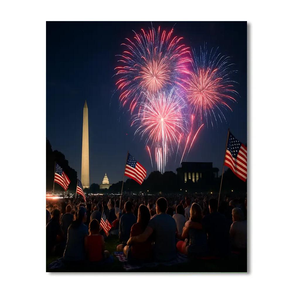Independence Day Fireworks Washington Numbered painting kits