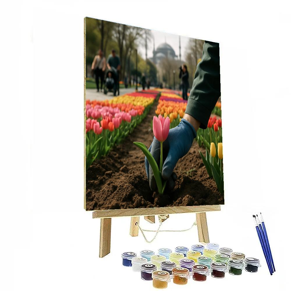 Istanbul Tulip Festival Park Alley Paint by numbers kits