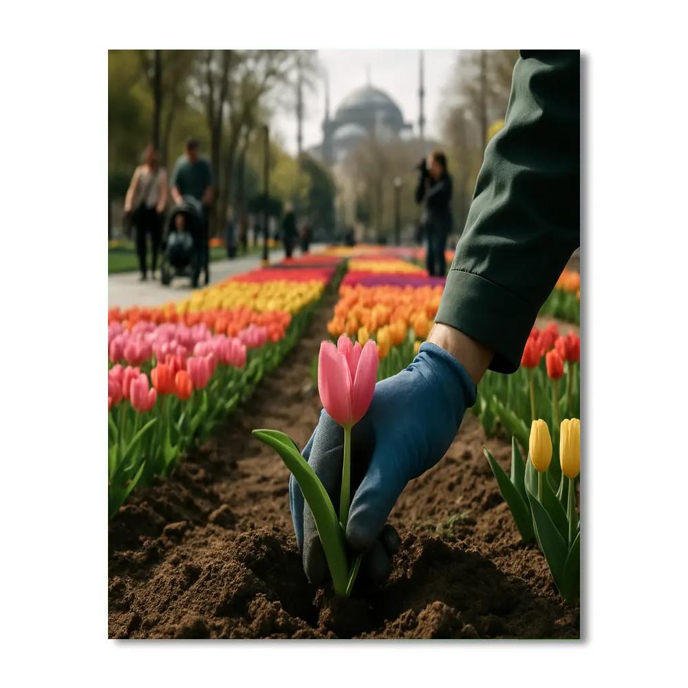 Istanbul Tulip Festival Park Alley Paint by numbers kits