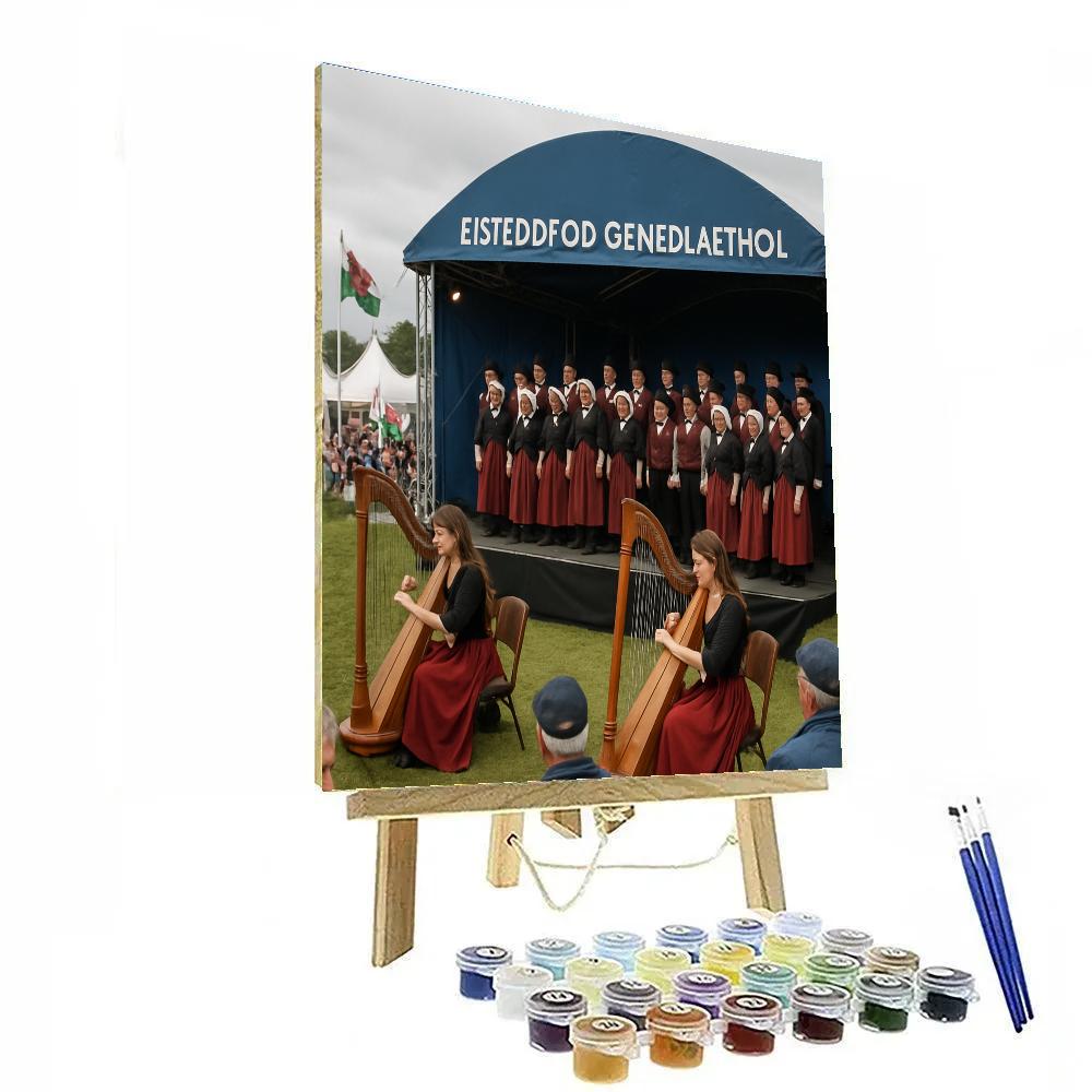 Festival Of Wales Eisteddfod Stage DIY paint by numbers