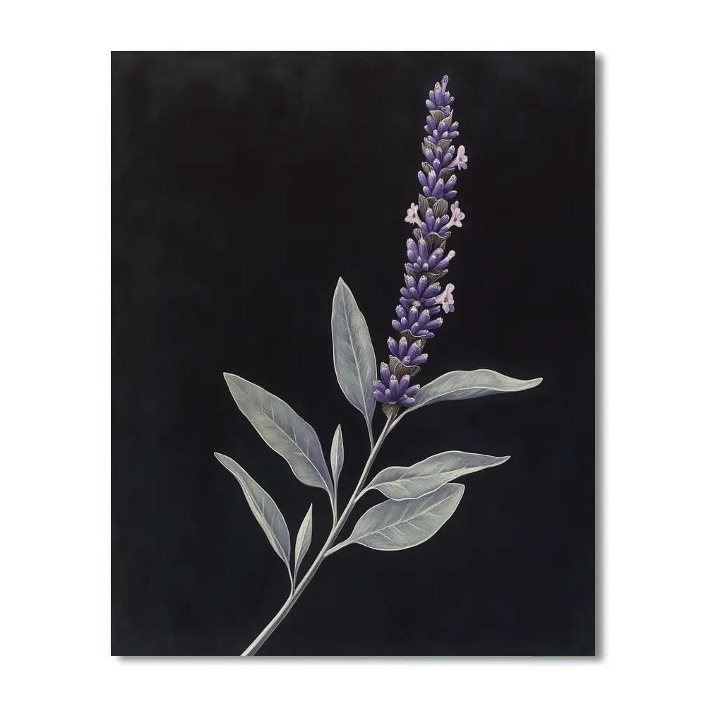 Caravaggio Inspired Lavender Sprig Paint by numbers art
