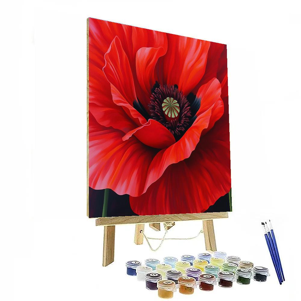Georgia OKeeffe Inspired Red Poppy Close Up DIY paint by numbers