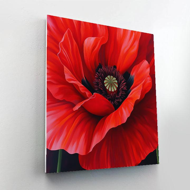 Georgia OKeeffe Inspired Red Poppy Close Up DIY paint by numbers