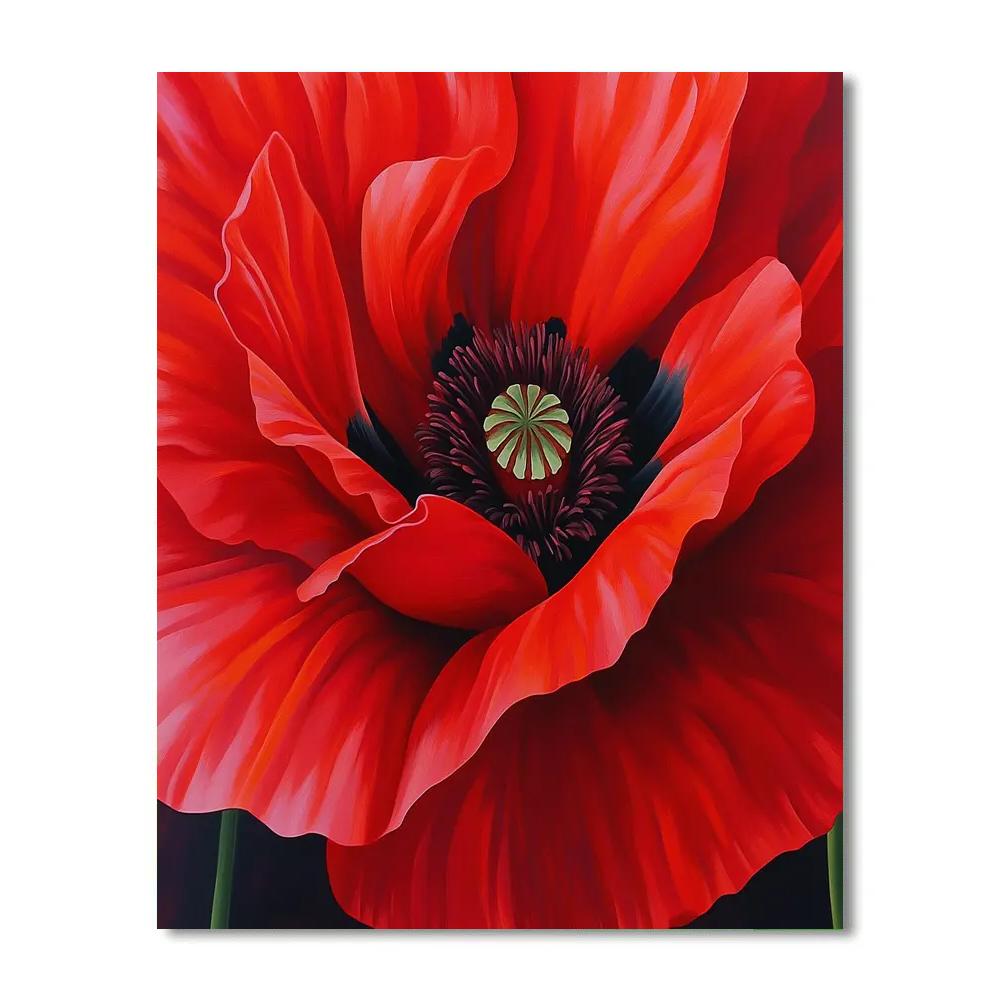 Georgia OKeeffe Inspired Red Poppy Close Up DIY paint by numbers