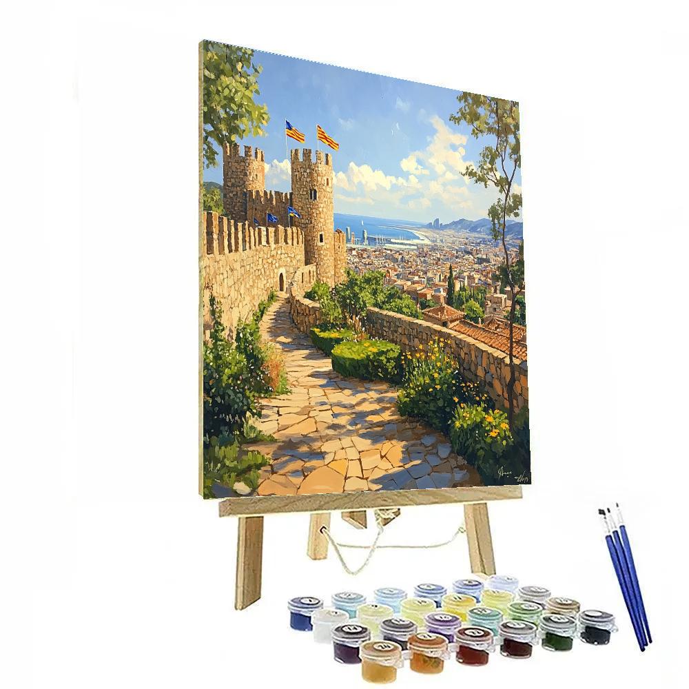 Hilltop View From Montjuic Castle Barcelona Spain DIY paint by numbers