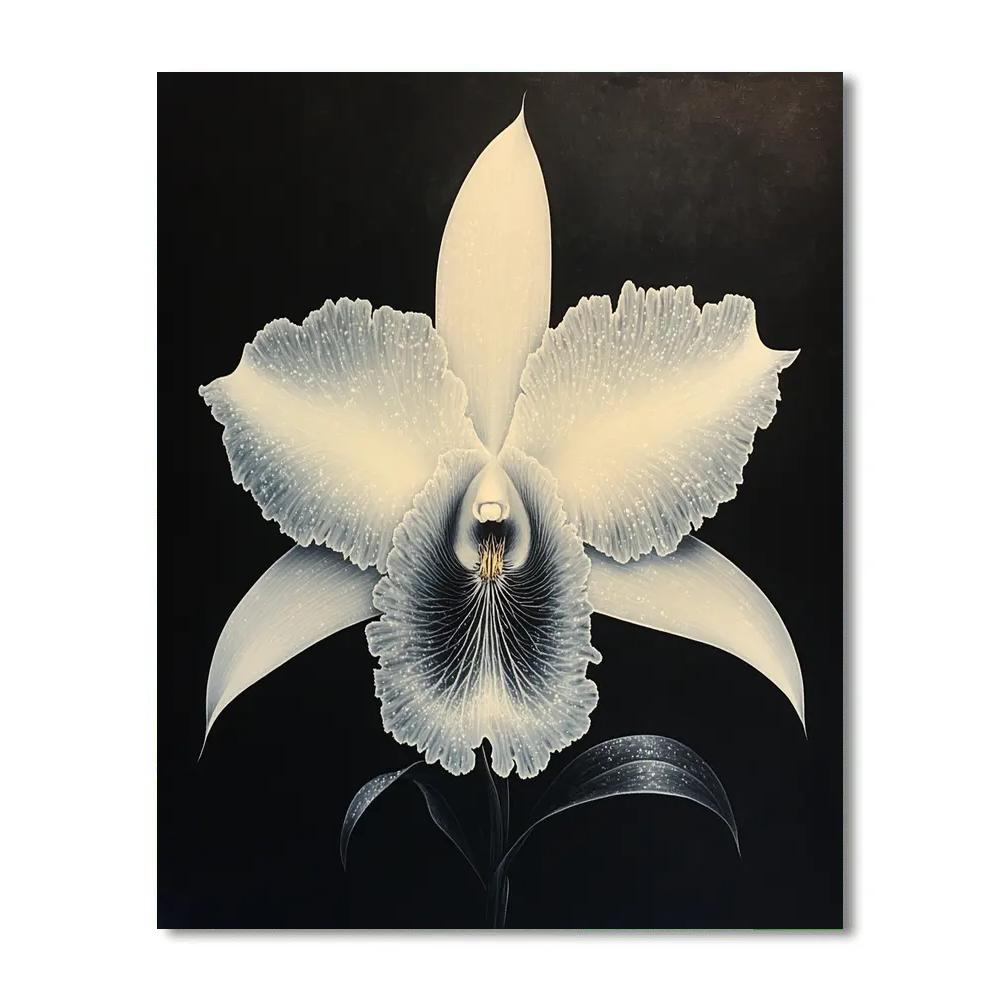 Caravaggio Inspired Midnight Orchid paint by color