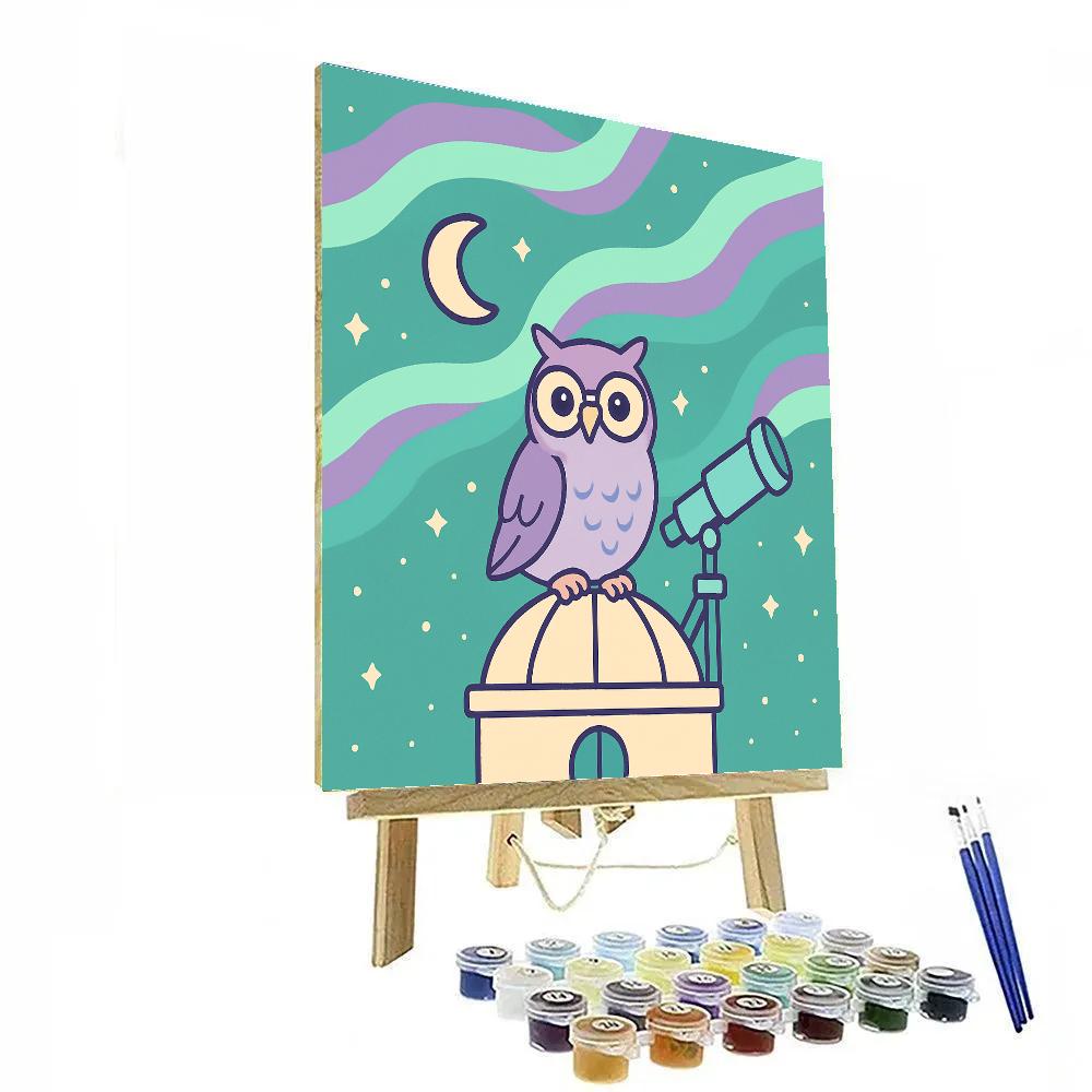 Aurora Owl Observatory Paint by numbers art