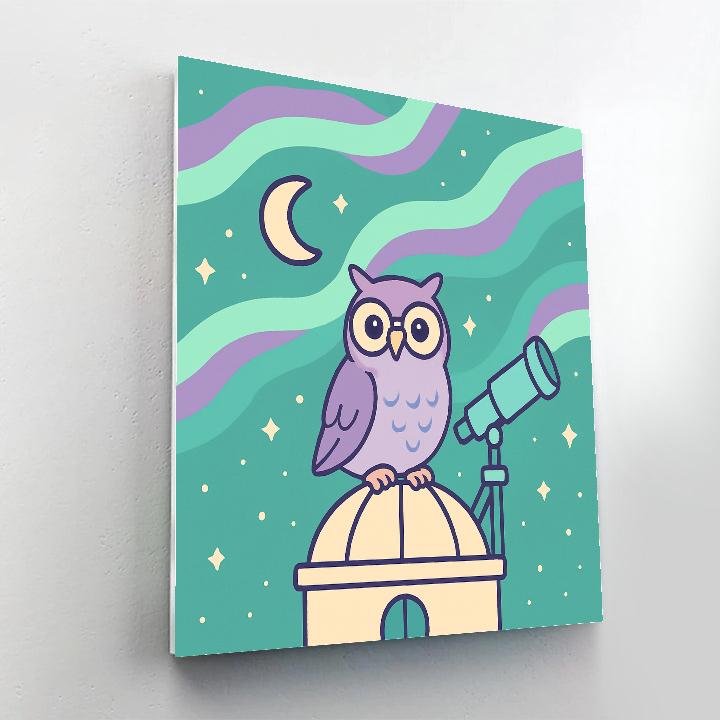 Aurora Owl Observatory Paint by numbers art