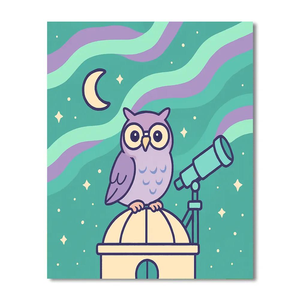 Aurora Owl Observatory Paint by numbers art