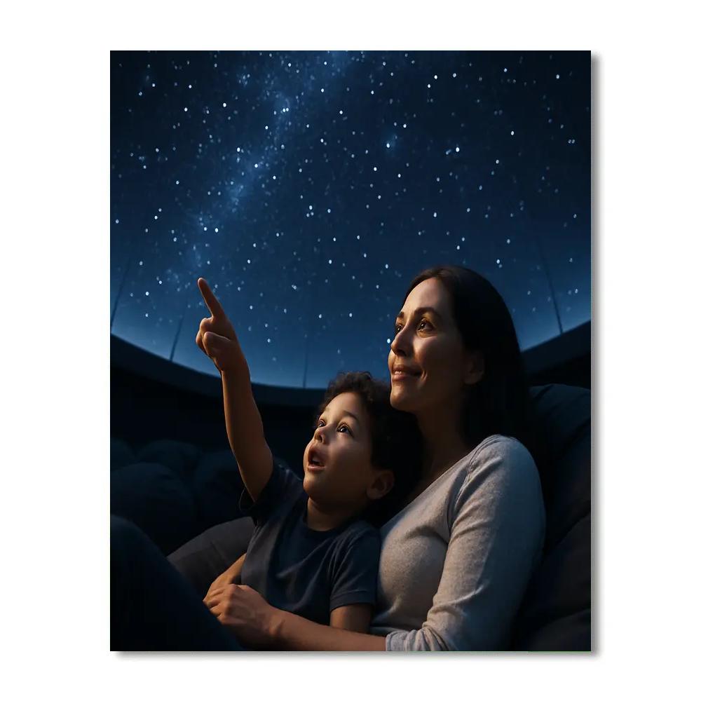 Museum Planetarium Snuggle Painting by numbers kit