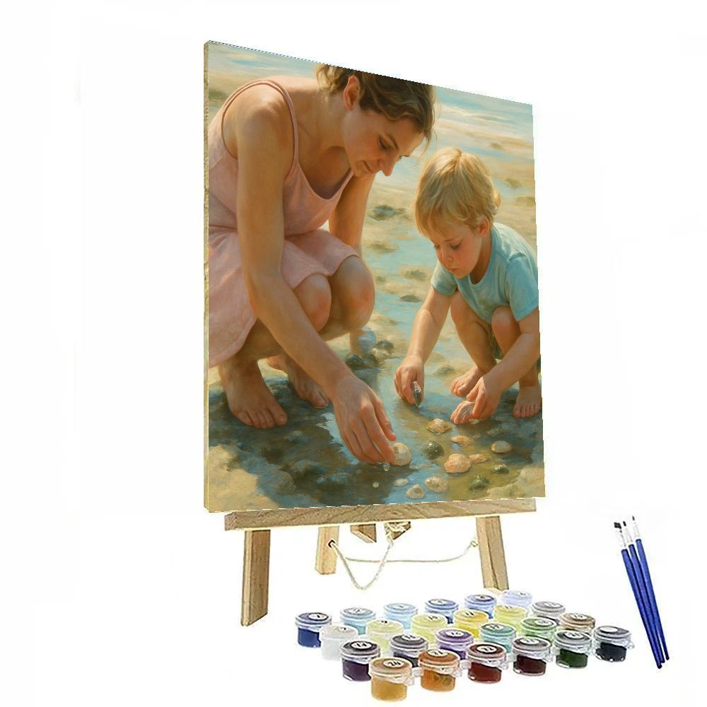 Seashore Shell Collection Painting by numbers kit