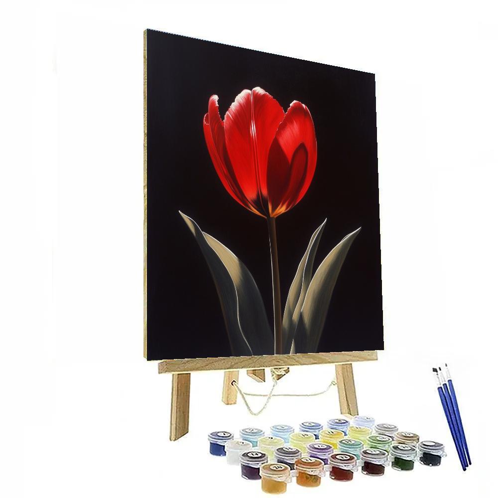 Caravaggio Inspired Tulip Shadow Play Paint by numbers kits