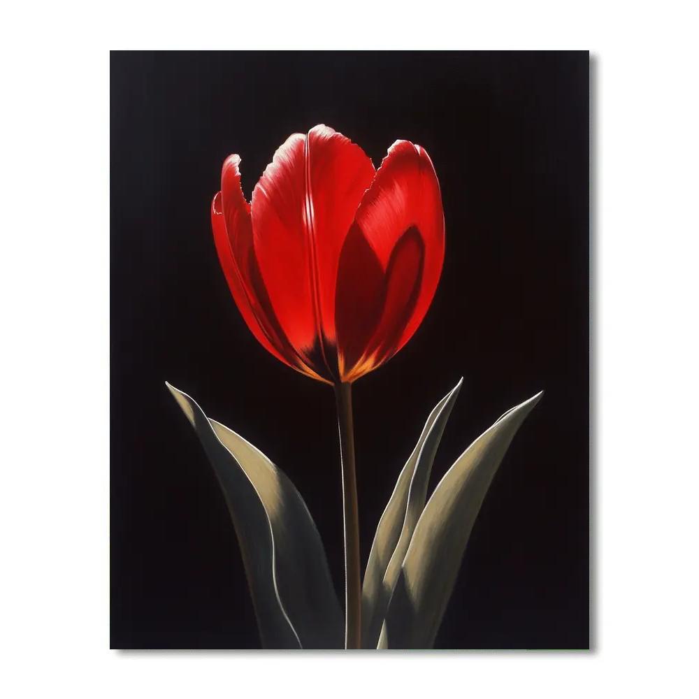 Caravaggio Inspired Tulip Shadow Play Paint by numbers kits