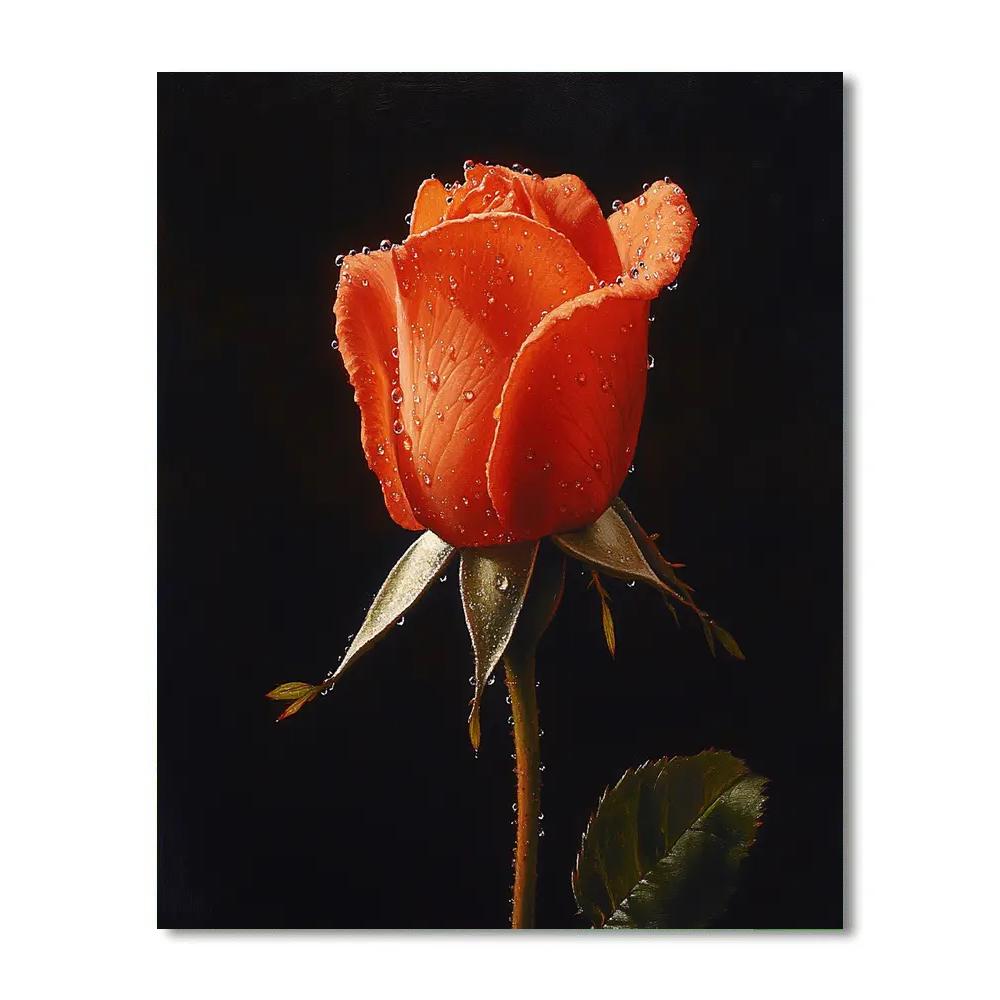 Caravaggio Inspired Rosebud After Rain Numbered painting kits