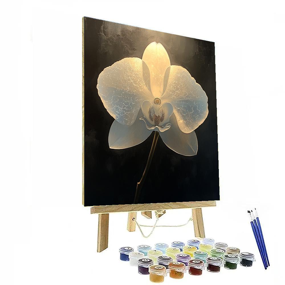 Caravaggio Inspired Orchid Shadow Play paint by number