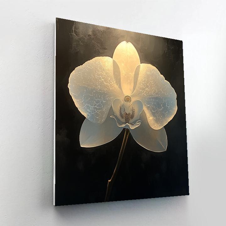 Caravaggio Inspired Orchid Shadow Play paint by number