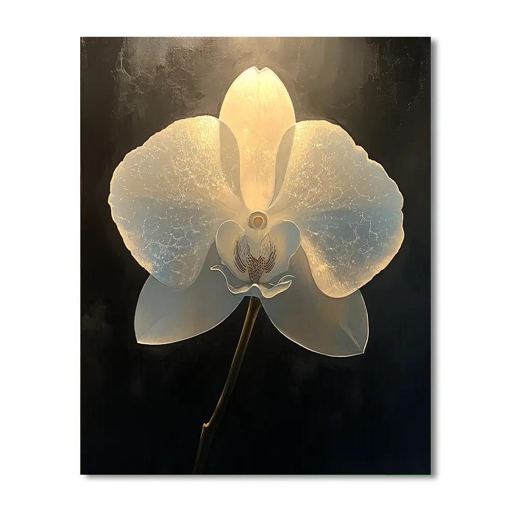 Caravaggio Inspired Orchid Shadow Play paint by number